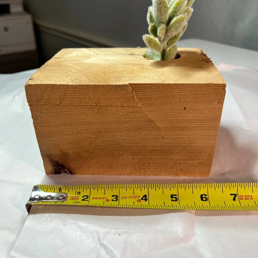 Faux Succulent in Handmade Wood Planter